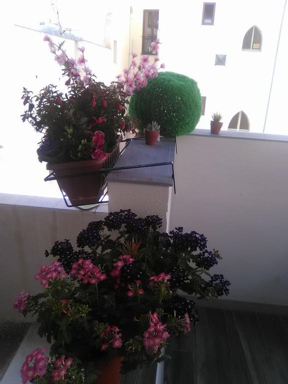 טרפאני Verde Mare מראה חיצוני תמונה